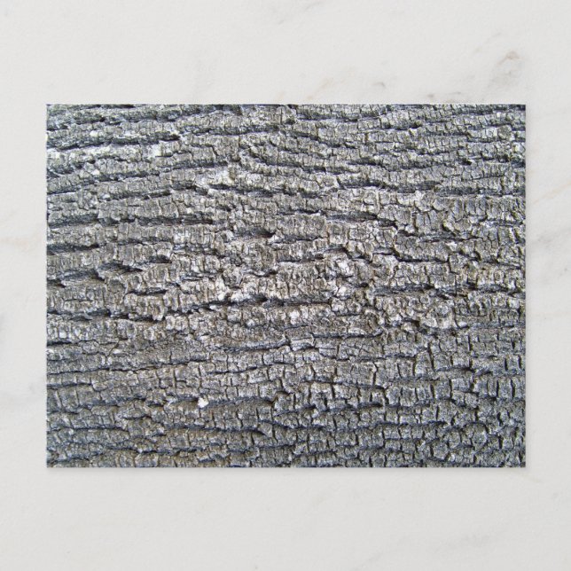 Postal Texto de barra de árbol horizontal (Anverso)