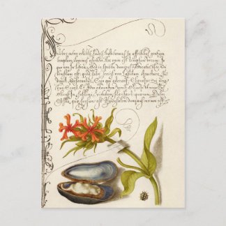 Postal Texto de caligrafía antigua ilustracion botánico p