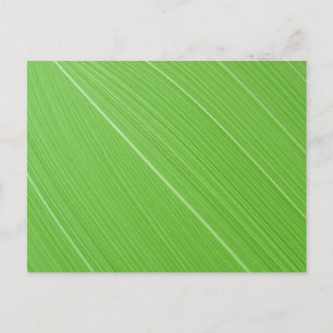 Postal Textura abstracta de hoja verde vibrante patrón de
