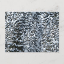 Textura de abeto nevado
