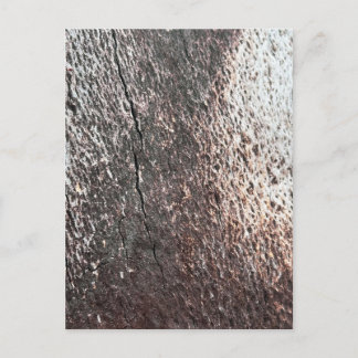 Postal Textura de corteza de árbol desvanecida