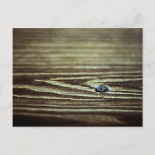 Postal Textura de grano de madera de Shirley Taylor
