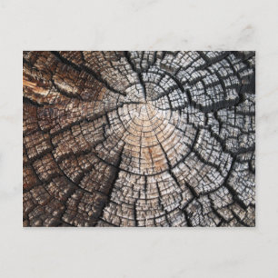 Postal Textura de madera antigua de Guay