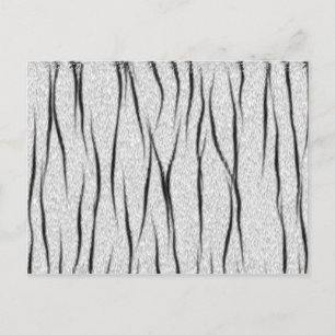 Postal Textura del tigre blanco