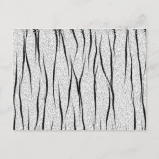 Postal Textura del tigre blanco