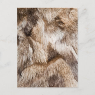 Postal Textura elegante de piel