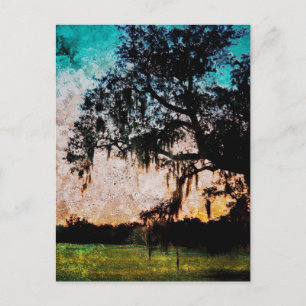 Postal Texturas Audubon Sunset