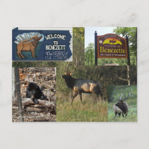 Postal Thacking Elk BENEZETTE PA