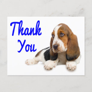 Postal Thank You Basset Hound Greeting Post Card