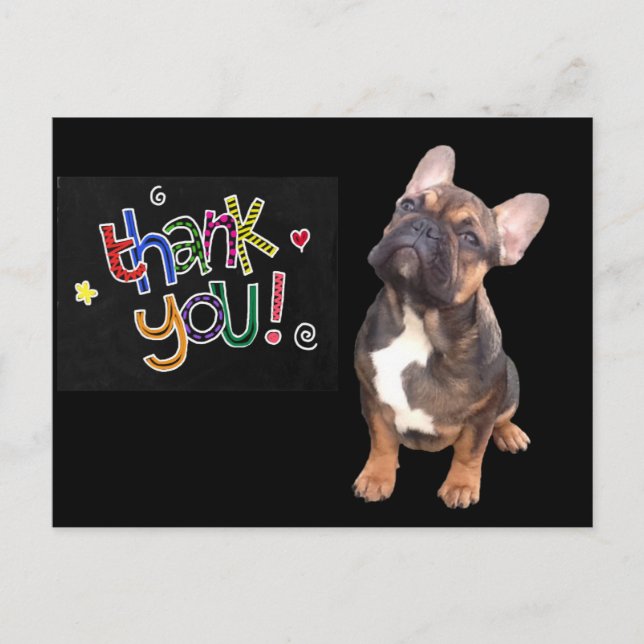 Postal Thank you  Französische Bulldogge Postkarte (Anverso)