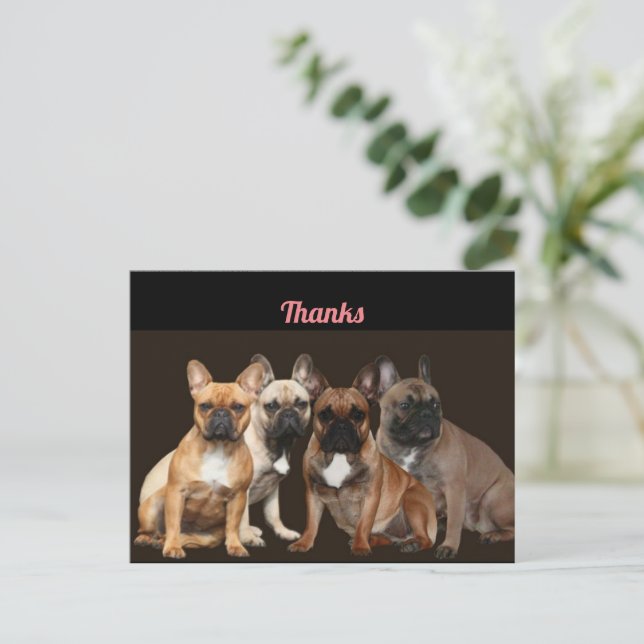 Postal Thanks  Französische Bulldogge Postkarte (Anverso de pie)