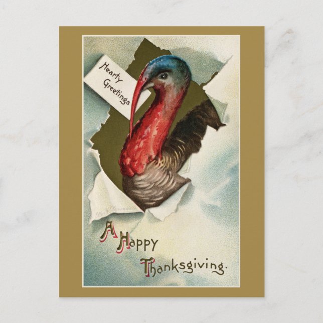 Postal  Thanksgiving turkey vintage art drawing (Anverso)