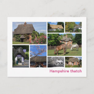 Postal Thatch Hampshire