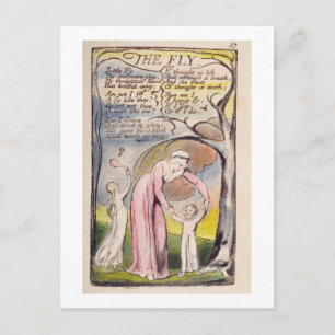 Postal 'The Fly', plato 37 de 'Canciones de inocencia y