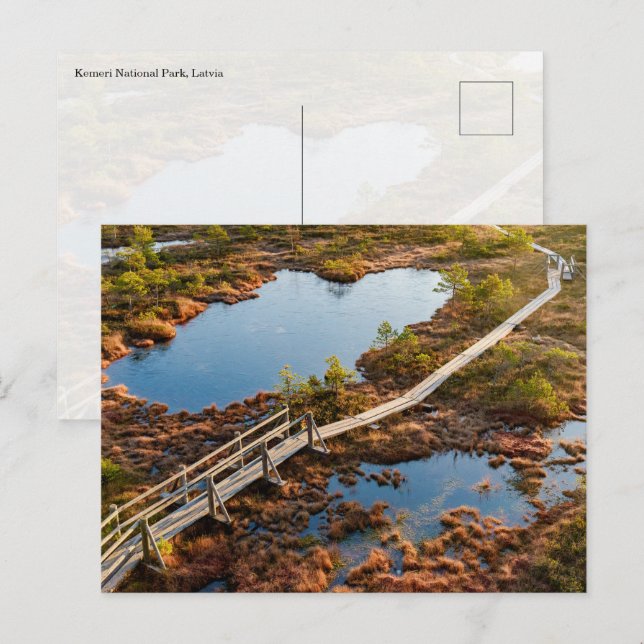Postal The Great Kemeri Bog Boardwalk, Latvia (Anverso / Reverso)