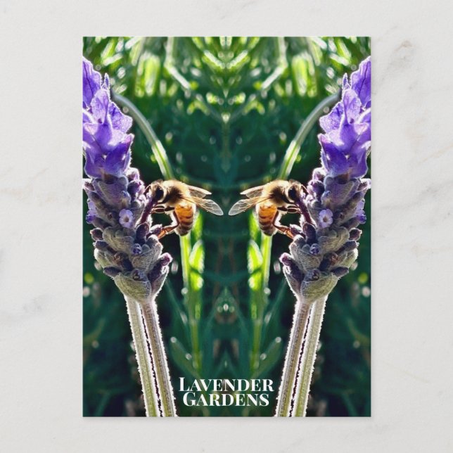 Postal The Lavender & The Bee (Anverso)