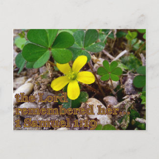 Postal The Lord Remembered Her Bible Verse Postcard