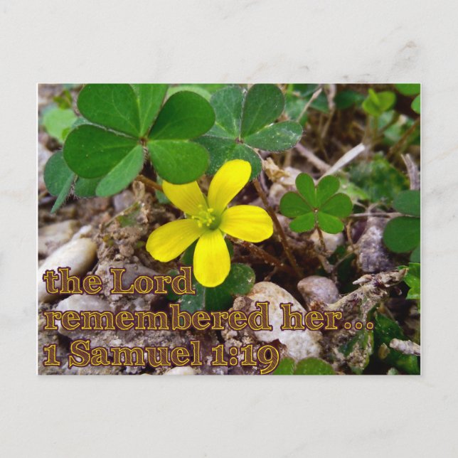 Postal The Lord Remembered Her Bible Verse Postcard (Anverso)