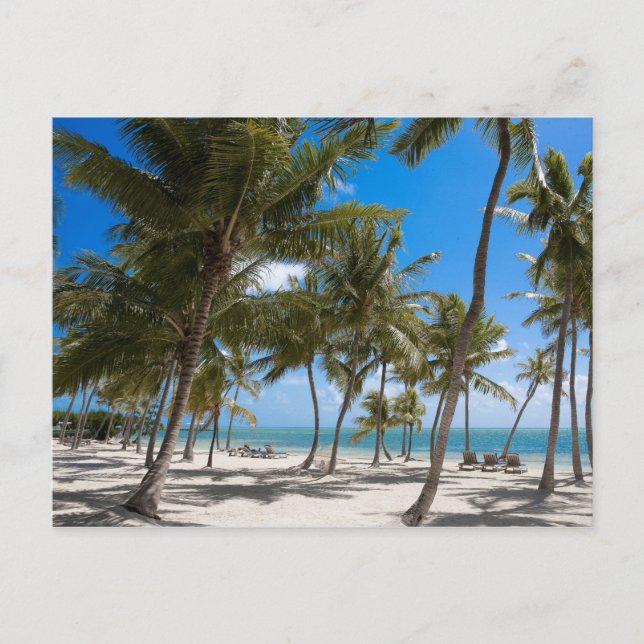 Postal The Moorings Resort, Marathon, Key West, 2 is not  (Anverso)