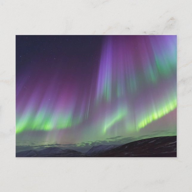 Postal The Northern Lights | North Iceland (Anverso)