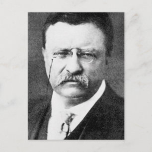 Postal Theodore Roosevelt