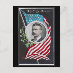 Postal Theodore Roosevelt