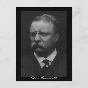 Postal Theodore Roosevelt