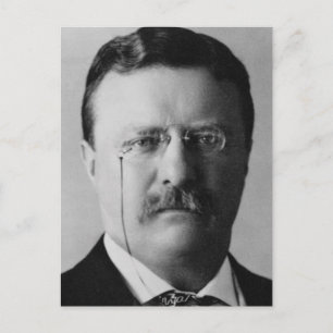 Postal Theodore Roosevelt 26