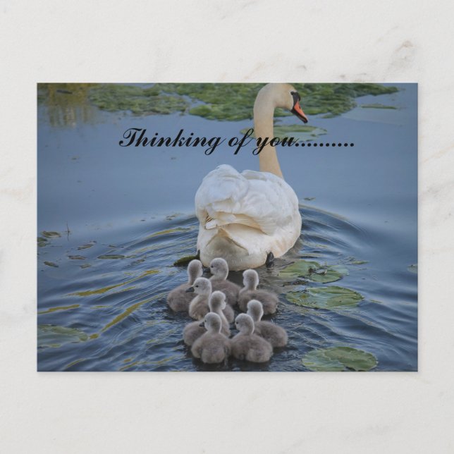 Postal thinking of you  (Anverso)