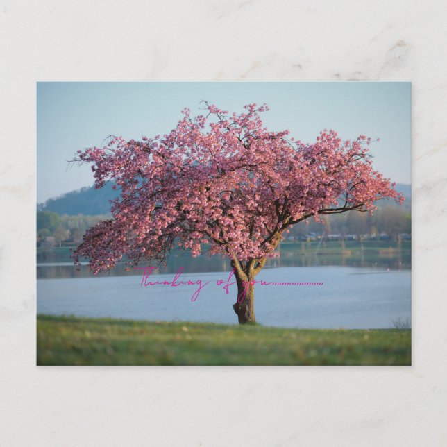 Postal thinking of you nature  (Anverso)