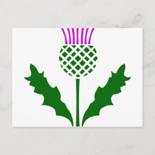Postal Thistle escocés