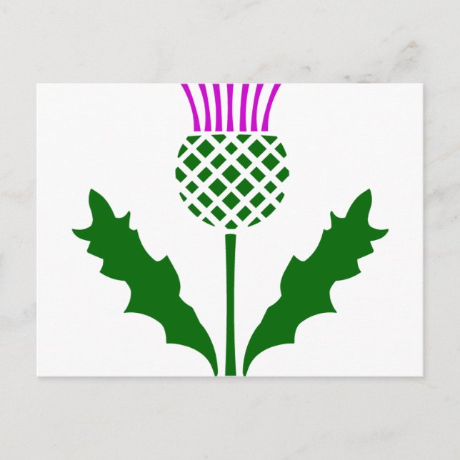 Postal Thistle escocés (Anverso)