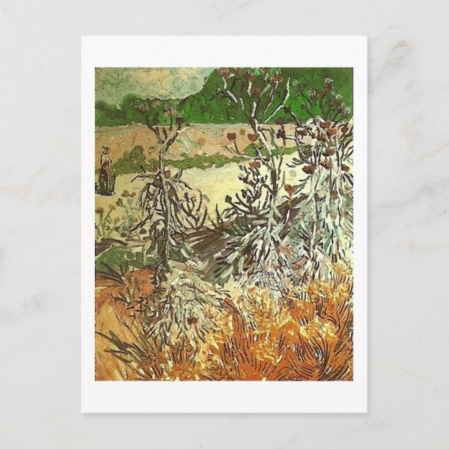 Postal Thistles, Bella Artes Van Gogh (Anverso)
