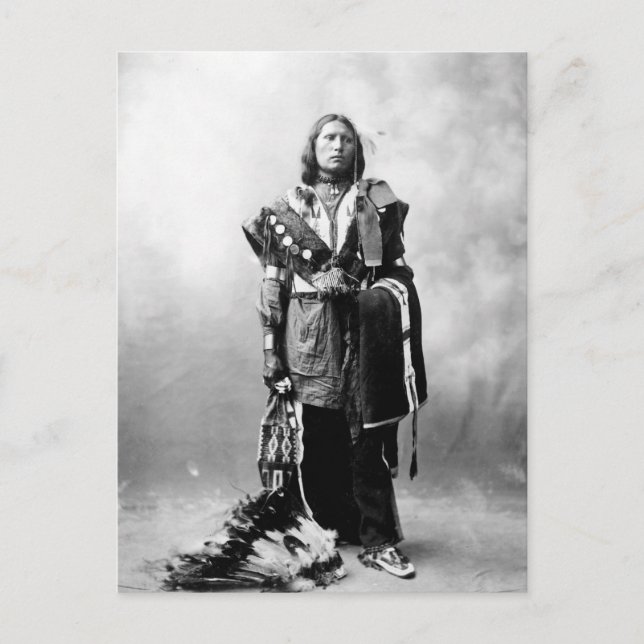 Postal Thomas American Horse (Anverso)