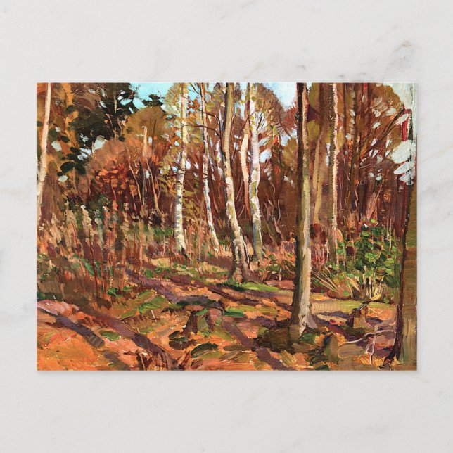 Postal Thomson - Vista del parque Algonquin (Anverso)