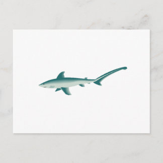 Postal Thresher Shark