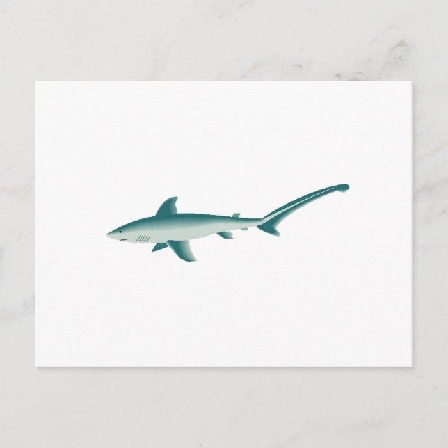 Postal Thresher Shark (Anverso)
