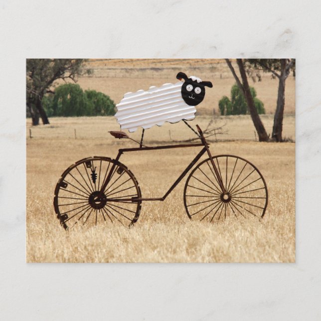 Postal Thrills de ovejas blancas (Anverso)