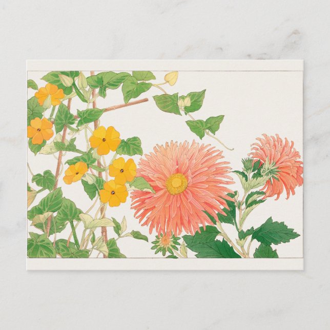 Postal Thunbergia, aster de China por Tanigami Konan (Anverso)
