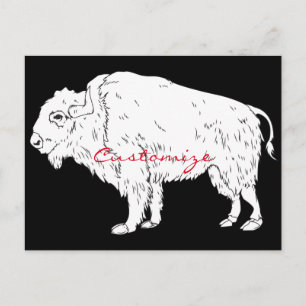 Postal Thunder_Cove de búfalo blanco