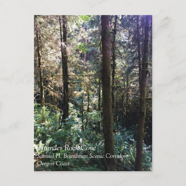 Postal Thunder Rock Cove, Samuel H. Boardman, Oregón (Anverso)