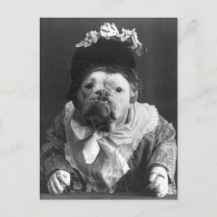 Postal Tía Maude Dog