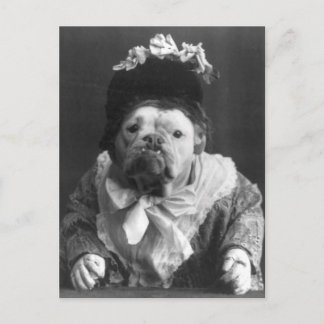 Postal Tía Maude Dog