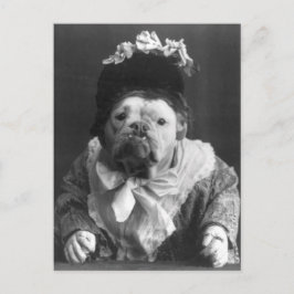 Postal Tía Maude Dog