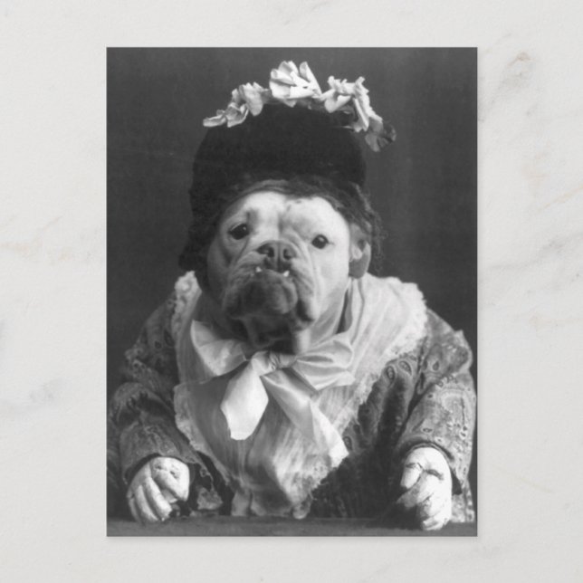 Postal Tía Maude Dog (Anverso)