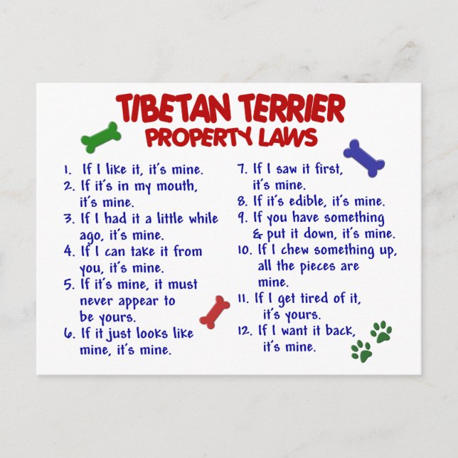 Postal TIBETAN TERRIER Property Laws 2 (Anverso)