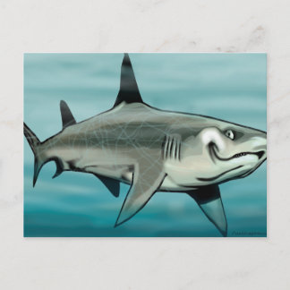 Postal Tiburón