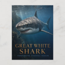 Tiburón Blanco Grande Animales del Océano Costero