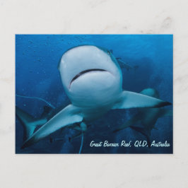 Postal Tiburón de arrecife Gran Barrera de Coral de Coral