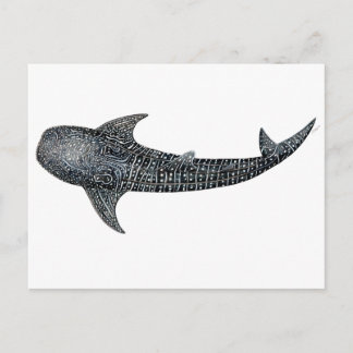 Postal Tiburón de ballena